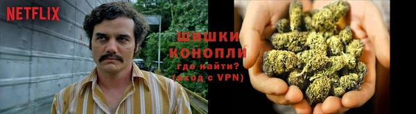 молекула духа Балабаново