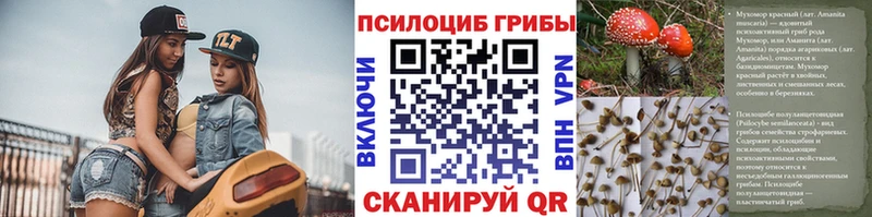 ОМГ ОМГ сайт  Мценск  Псилоцибиновые грибы Psilocybe 